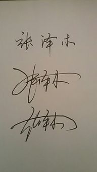 张泽木 艺术 签名怎么写