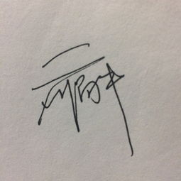 签名设计5