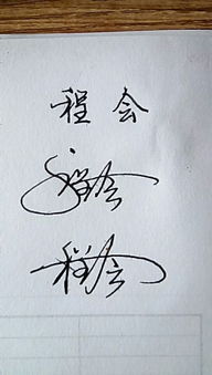 请问用艺术签名怎么写 程会
