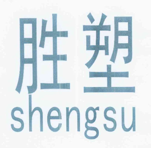 胜达塑龙商标注册查询 商标进度查询 商标注册成功率查询 路标网