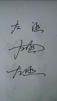 左涵的个性化艺术签名设计指南