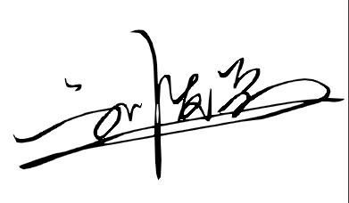 刘发兵艺术签名字体的设计艺术与实用价值