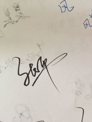 张平的签名艺术与个人标识