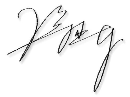 打造独特印记 艺术签名设计指南