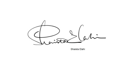 英文签名设计作品赏析 南京孙老师与华夏名流签名网的艺术融合